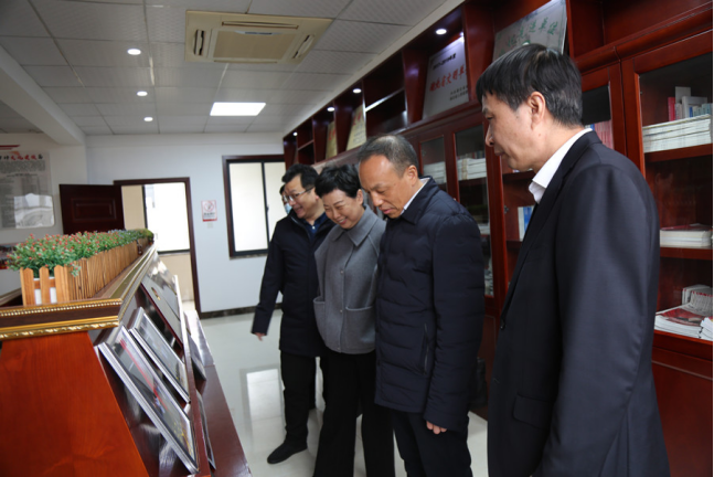 江夏区领导调研指导审计工作